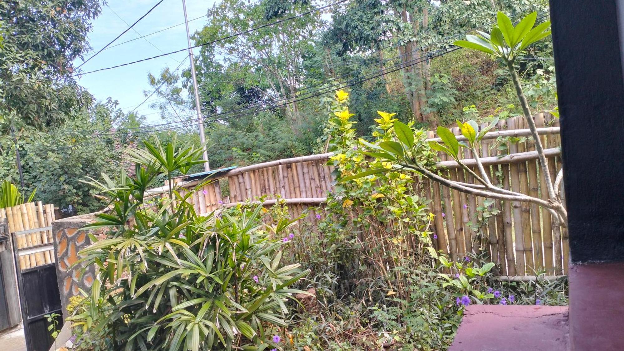 Palm Homestay Kuta Kuta  Luaran gambar