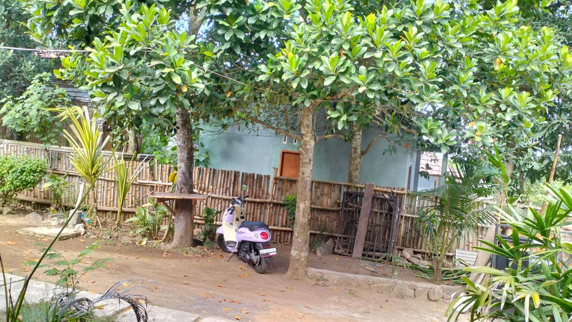 Palm Homestay Kuta Kuta  Luaran gambar