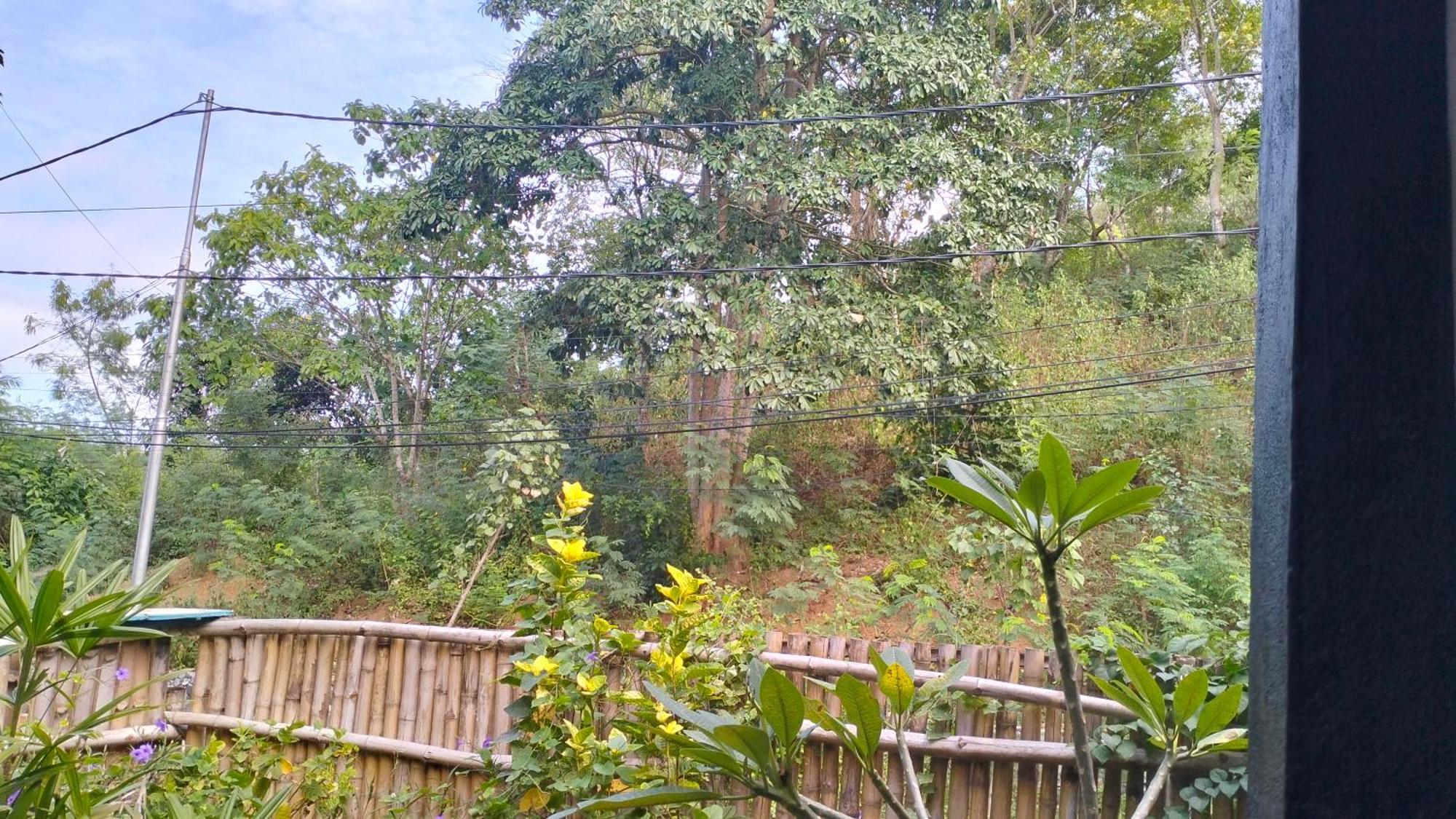 Palm Homestay Kuta Kuta  Luaran gambar