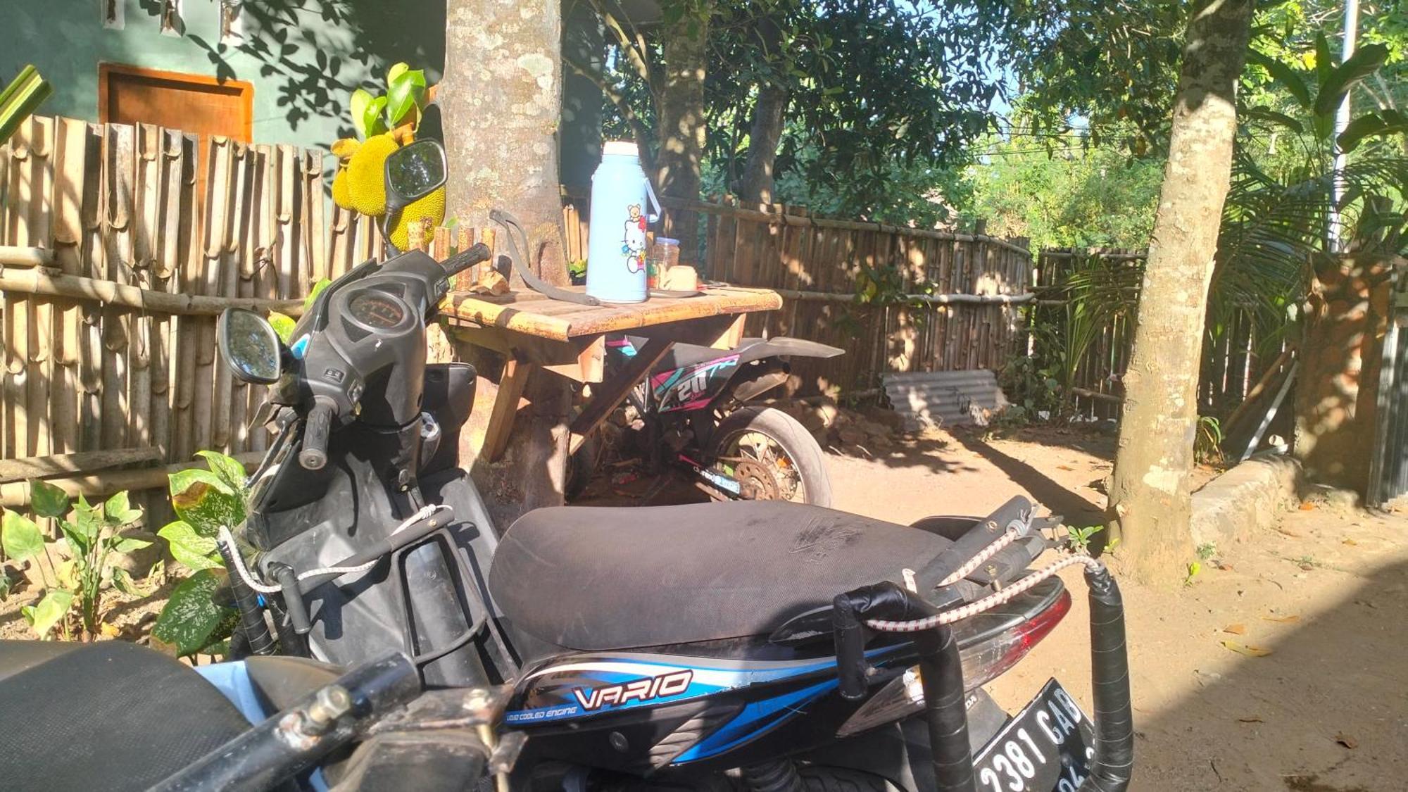 Palm Homestay Kuta Kuta  Luaran gambar